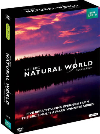 美国纪录片《BBC自然世界：抹香鲸:深渊归来》[1996年][夸克网盘][中文字幕]