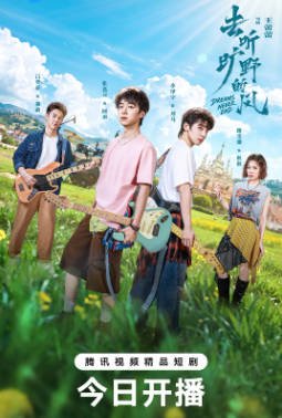 国产剧《去听旷野的风》[2026年][夸克网盘]-交个盘友影视资料资源网