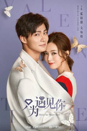 国产剧《只为遇见你》[2019年][剧情爱情][夸克网盘]-交个盘友影视资料资源网