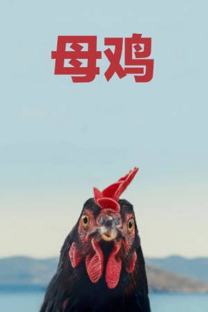 德国电影《母鸡》[2025年][家庭][夸克网盘][中文字幕]-交个盘友影视资料资源网