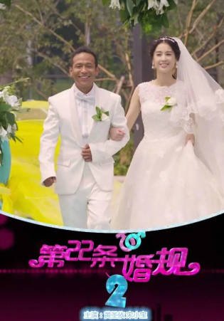 国产剧《第22条婚规》[共2季][2013-2016年][喜剧爱情][夸克网盘]-交个盘友影视资料资源网