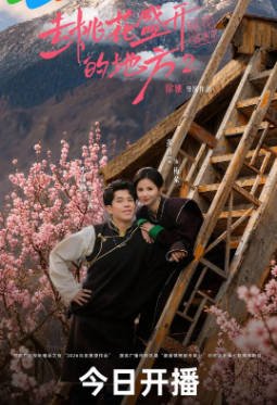 国产剧《去桃花盛开的地方》[2026年][夸克网盘][中文字幕]-交个盘友影视资料资源网