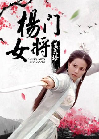 国产电影《杨门女将之昊天塔》[2001年][武侠古装][夸克网盘]-交个盘友影视资料资源网