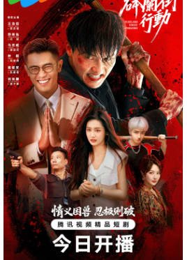 国产剧《砵兰街行动》[2026年][剧情动作][夸克网盘]-交个盘友影视资料资源网