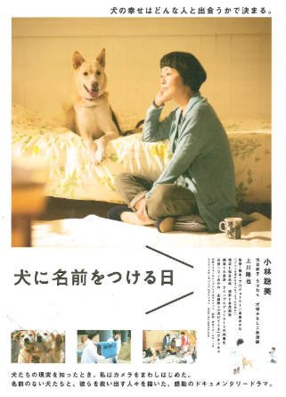 日本电影《为你取名的那一天》[2015年][夸克网盘][中文字幕]-交个盘友影视资料资源网