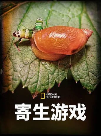 英国纪录片《寄生游戏》[2024年][夸克网盘][中文字幕]-交个盘友影视资料资源网