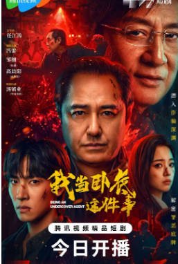 国产剧《我当卧底这件事》[2026年][犯罪][夸克网盘][中文字幕]-交个盘友影视资料资源网