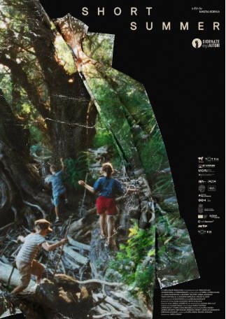 德国电影《短暂的夏天》[2025年][夸克网盘][中文字幕]-交个盘友影视资料资源网