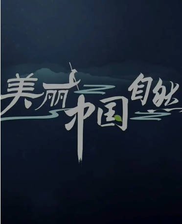 中国纪录片《美丽中国：自然》[2018年][夸克网盘][中文字幕]-交个盘友影视资料资源网