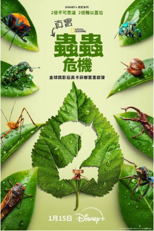美国纪录片《虫虫历险记》[共2季][2024-2025年][冒险][夸克网盘][中文字幕]-交个盘友影视资料资源网