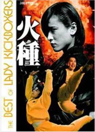 香港电影《火种》[1993年][动作][夸克网盘][中文字幕]-交个盘友影视资料资源网