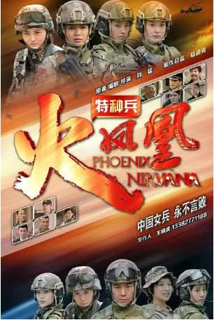 国产剧《特种兵之火凤凰》[2013年][夸克网盘][中文字幕]-交个盘友影视资料资源网