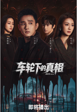 国产剧《车轮下的真相》[2026年][悬疑/犯罪][夸克网盘][中文字幕]-交个盘友影视资料资源网