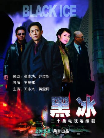 国产剧《黑冰》[2001年][悬疑][夸克网盘][中文字幕]-交个盘友影视资料资源网
