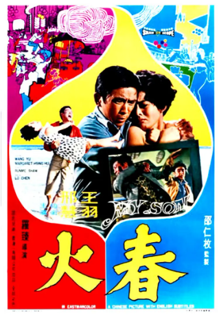 香港电影《春火》[1970年][夸克网盘][中文字幕]-交个盘友影视资料资源网