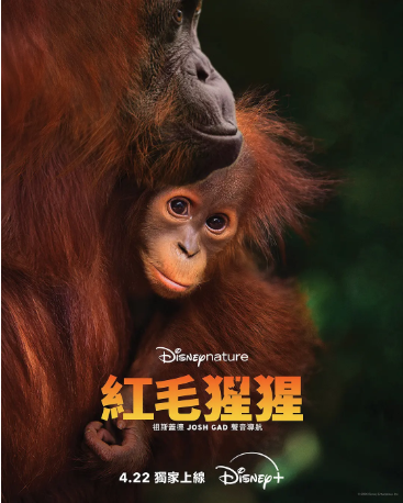 美国纪录片《红毛猩猩》[2026年][夸克网盘][中文字幕]-交个盘友影视资料资源网