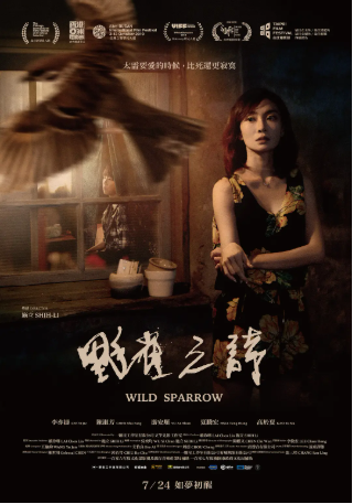 台湾电影《野雀之诗》[2019年][夸克网盘][中文字幕]-交个盘友影视资料资源网